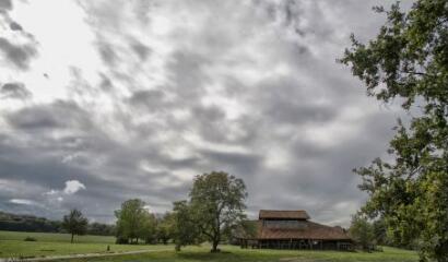 1 vue (ouvre la visionneuse)