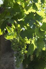 1 vue (ouvre la visionneuse)