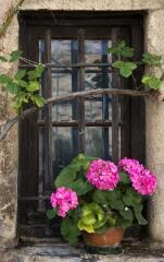 1 vue (ouvre la visionneuse)