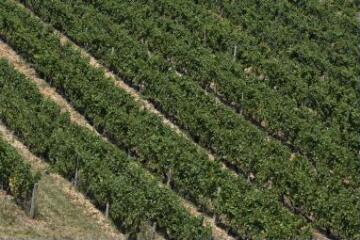 1 vue (ouvre la visionneuse)