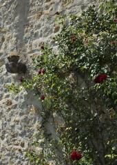 1 vue (ouvre la visionneuse)