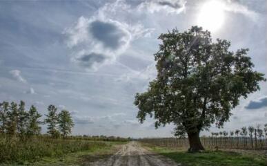 1 vue (ouvre la visionneuse)