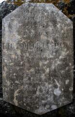 1 vue (ouvre la visionneuse)