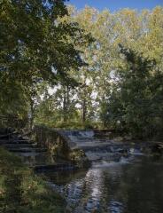 1 vue (ouvre la visionneuse)