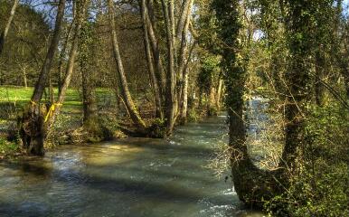 1 vue (ouvre la visionneuse)