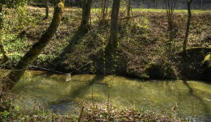 1 vue (ouvre la visionneuse)
