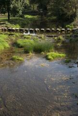 1 vue (ouvre la visionneuse)