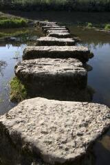 1 vue (ouvre la visionneuse)