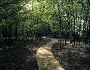 1 vue (ouvre la visionneuse)