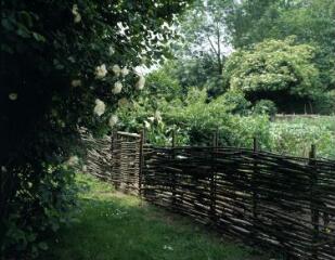 1 vue (ouvre la visionneuse)