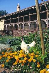 1 vue (ouvre la visionneuse)