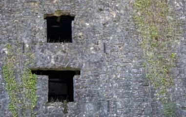 1 vue (ouvre la visionneuse)