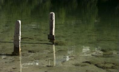 1 vue (ouvre la visionneuse)