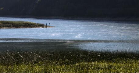 1 vue (ouvre la visionneuse)