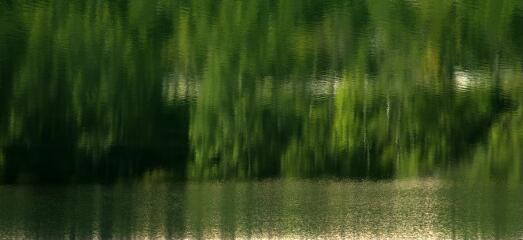 1 vue (ouvre la visionneuse)