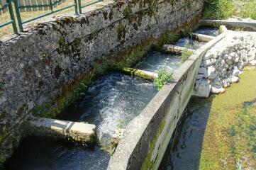 1 vue (ouvre la visionneuse)