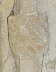 1 vue (ouvre la visionneuse)