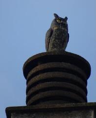 1 vue (ouvre la visionneuse)