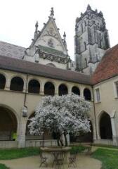 1 vue (ouvre la visionneuse)