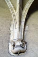 1 vue (ouvre la visionneuse)