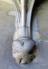 1 vue (ouvre la visionneuse)