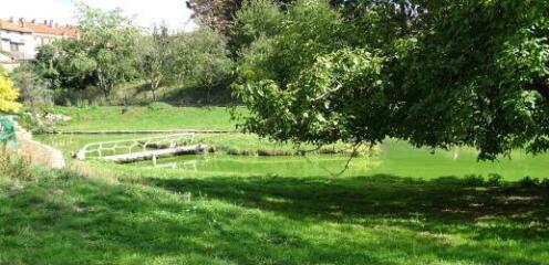 1 vue (ouvre la visionneuse)