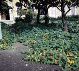 1 vue (ouvre la visionneuse)