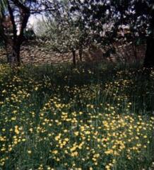 1 vue (ouvre la visionneuse)