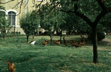 1 vue (ouvre la visionneuse)