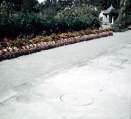 1 vue (ouvre la visionneuse)