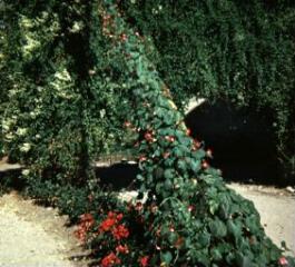 1 vue (ouvre la visionneuse)