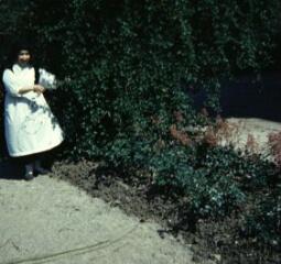 1 vue (ouvre la visionneuse)