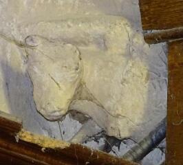 1 vue (ouvre la visionneuse)