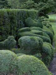 1 vue (ouvre la visionneuse)