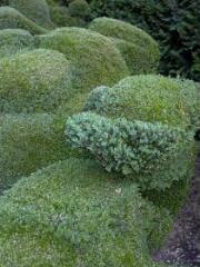 1 vue (ouvre la visionneuse)