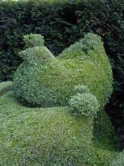 1 vue (ouvre la visionneuse)