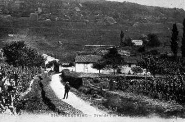 1 vue (ouvre la visionneuse)