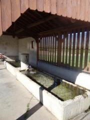 1 vue (ouvre la visionneuse)