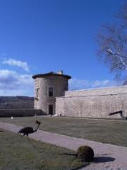 1 vue (ouvre la visionneuse)