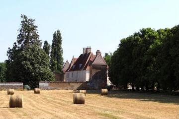 1 vue (ouvre la visionneuse)