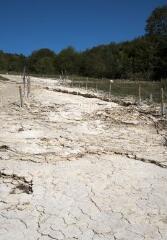 1 vue (ouvre la visionneuse)