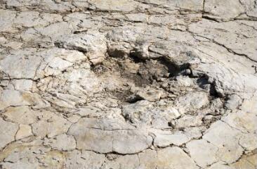 1 vue (ouvre la visionneuse)