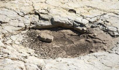 1 vue (ouvre la visionneuse)