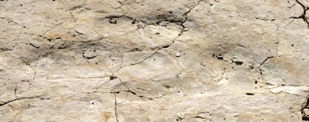 1 vue (ouvre la visionneuse)