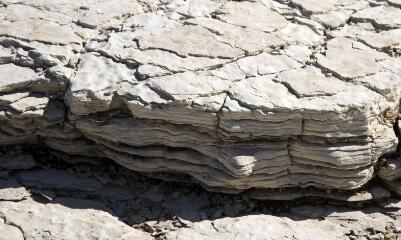 1 vue (ouvre la visionneuse)