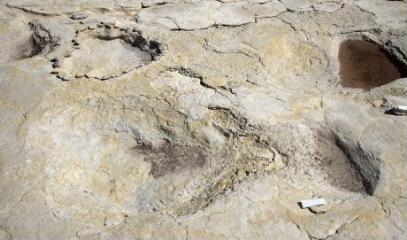 1 vue (ouvre la visionneuse)