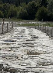 1 vue (ouvre la visionneuse)