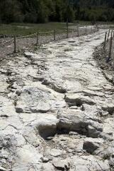 1 vue (ouvre la visionneuse)