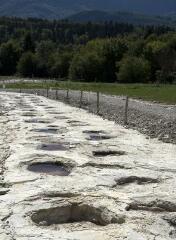 1 vue (ouvre la visionneuse)