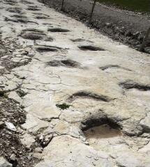 1 vue (ouvre la visionneuse)